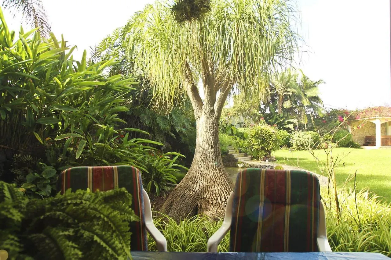 Finca Tocama La Vera-Carril 0*,